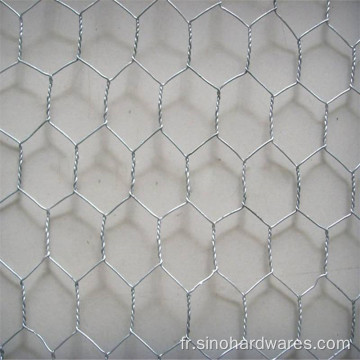 Usine de ventes directes Hexagonal Mesh Netting Netting Animal Cage Fence
